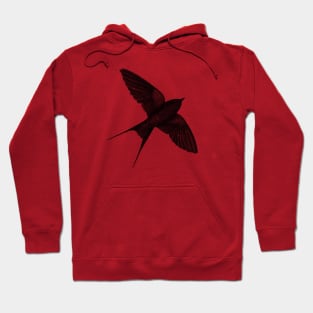 Night Swallow Hoodie